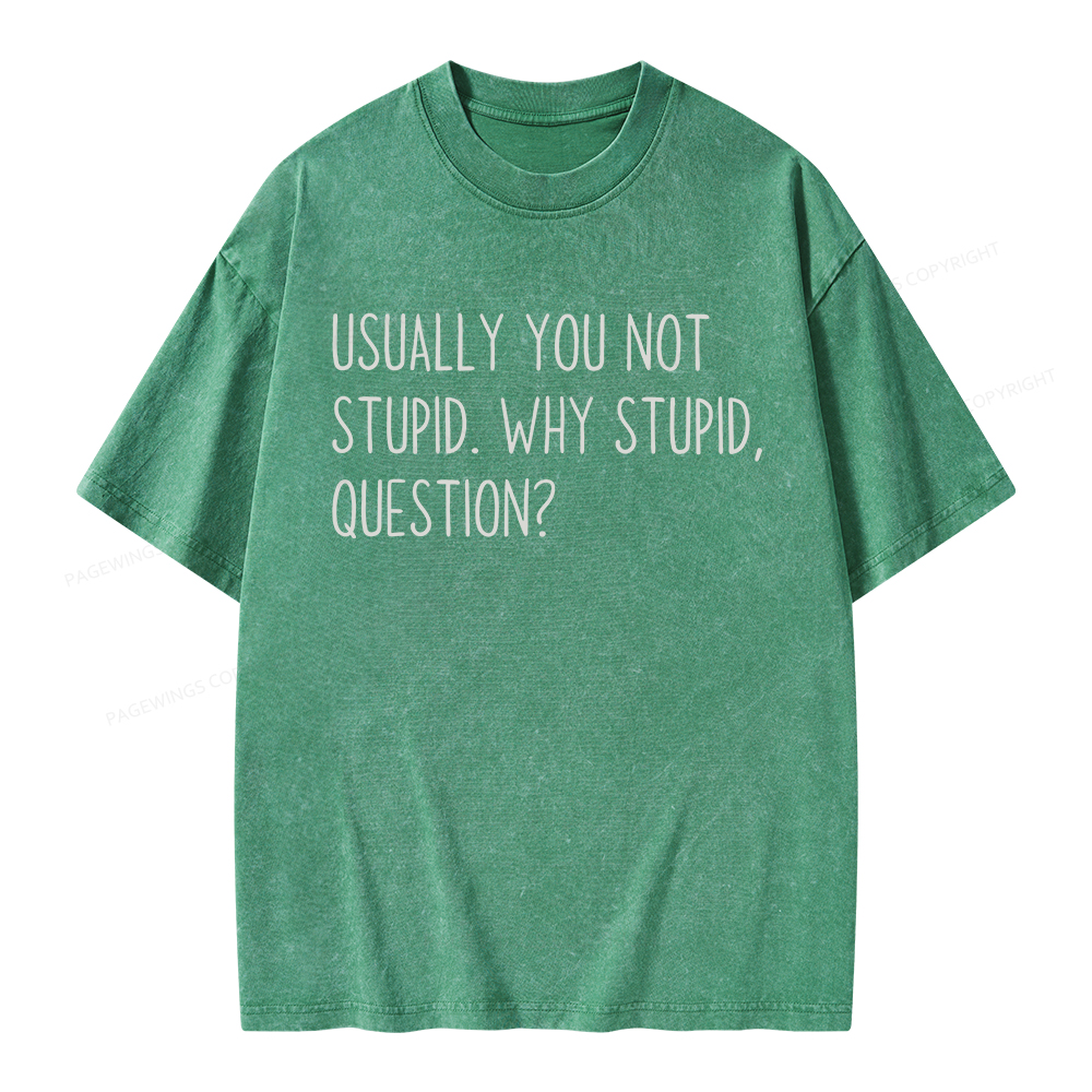 Pagewings Why Stupid Question Unisex Washed T-shirt