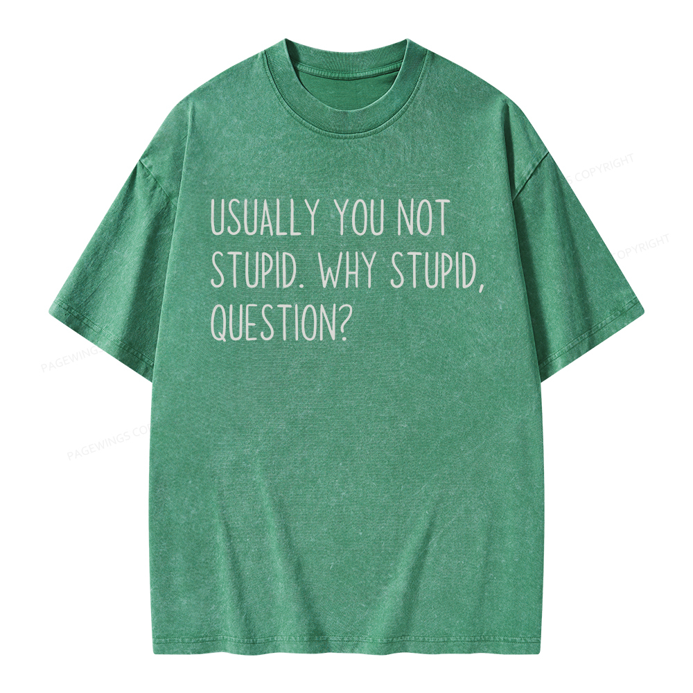 Pagewings Why Stupid Question Unisex Washed T-shirt