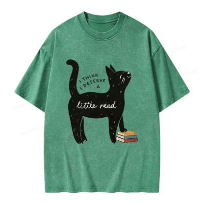 Pagewings Little Read Unisex Washed T-shirt