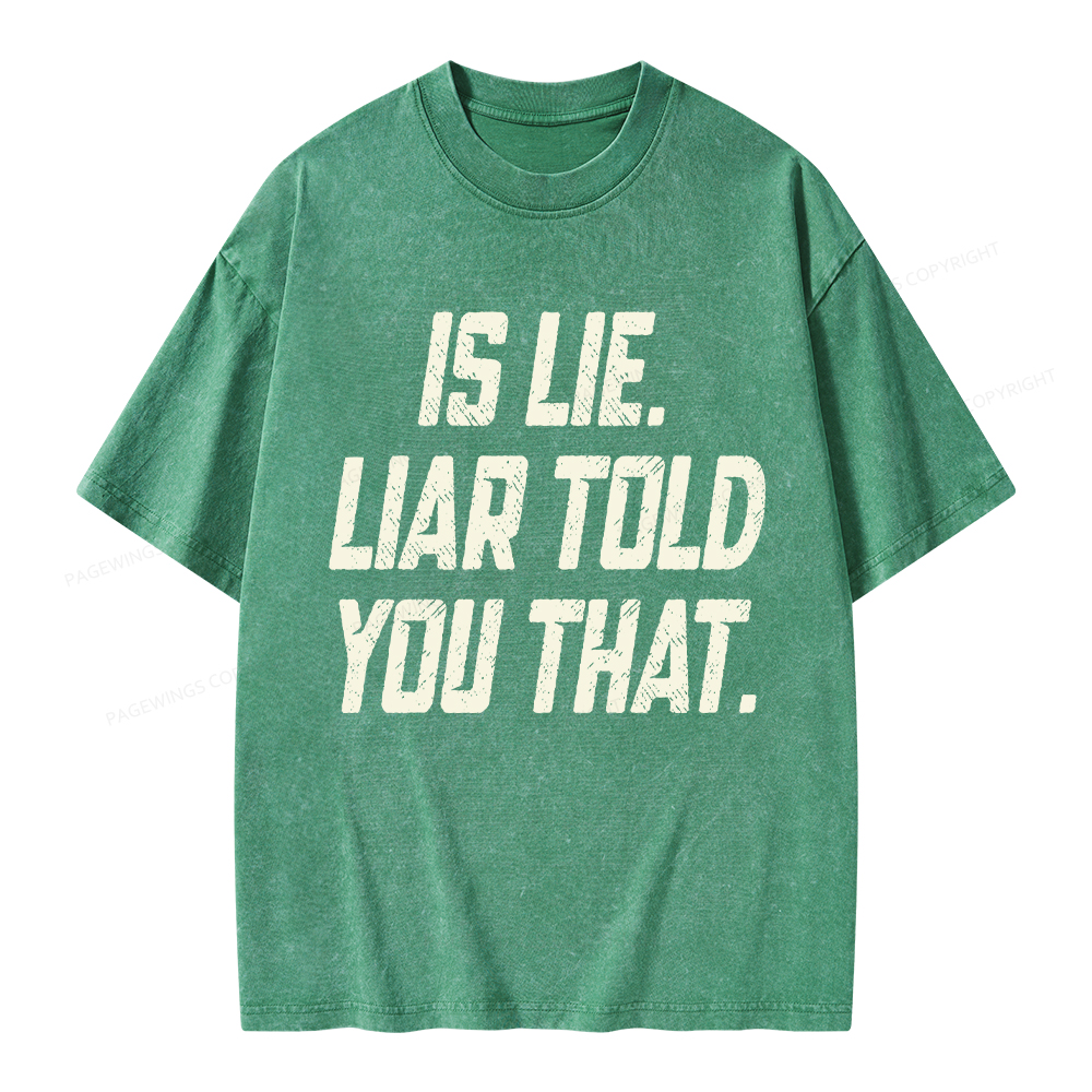 Pagewings Is Lie Liar Told You That Unisex Washed T-shirt
