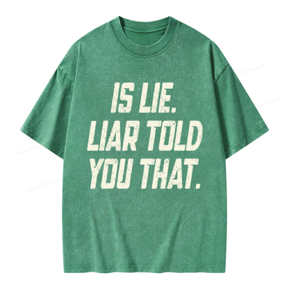 Pagewings Is Lie Liar Told You That Unisex Washed T-shirt