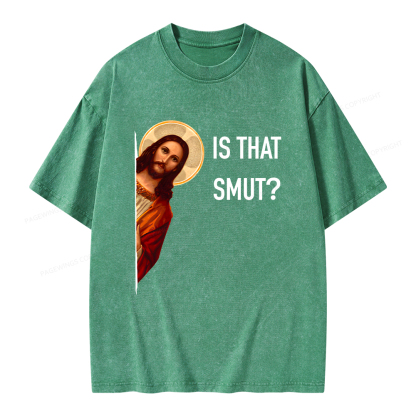 Pagewings Is That Smut Unisex Washed T-shirt