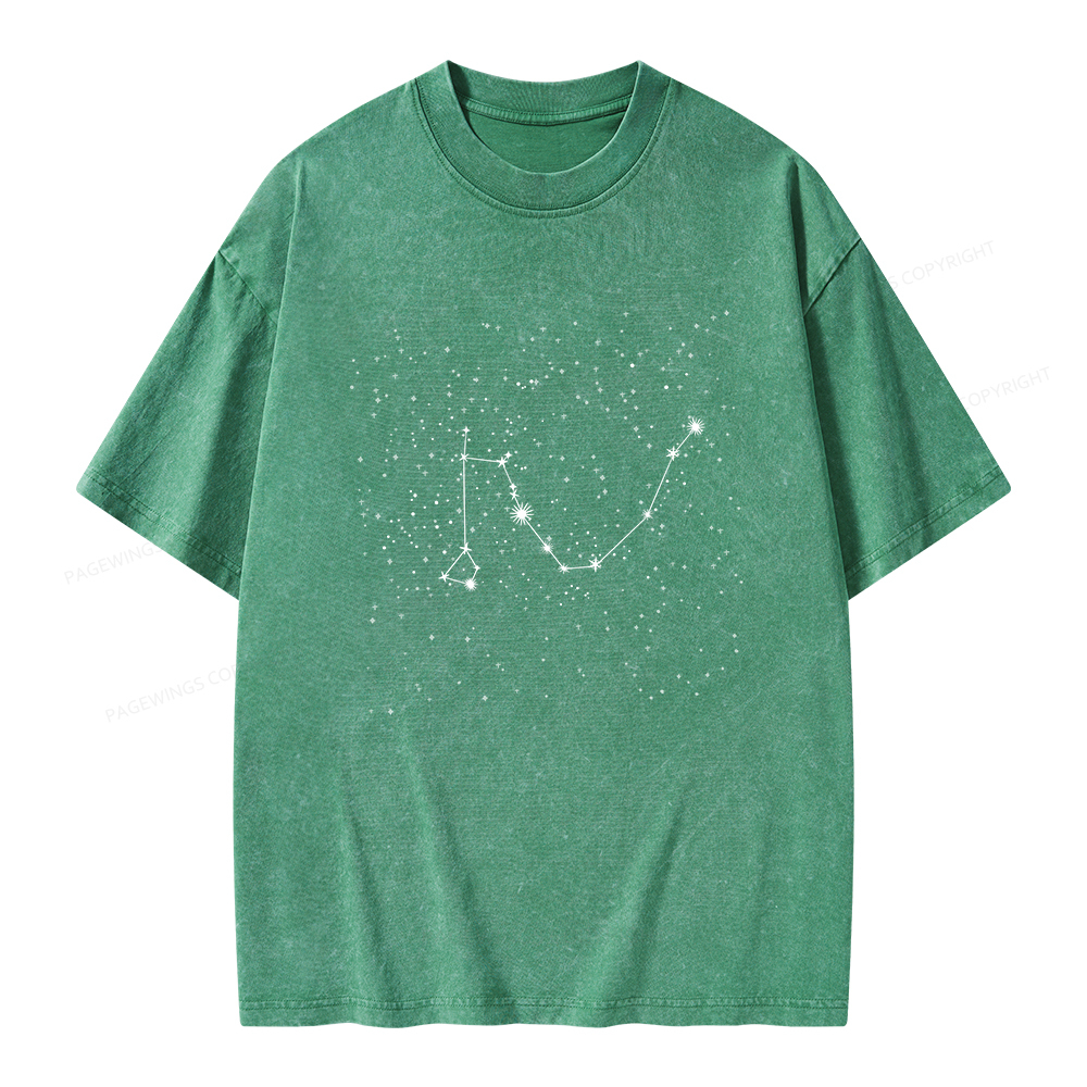 Pagewings Fanfiction bookish Unisex Washed T-shirt