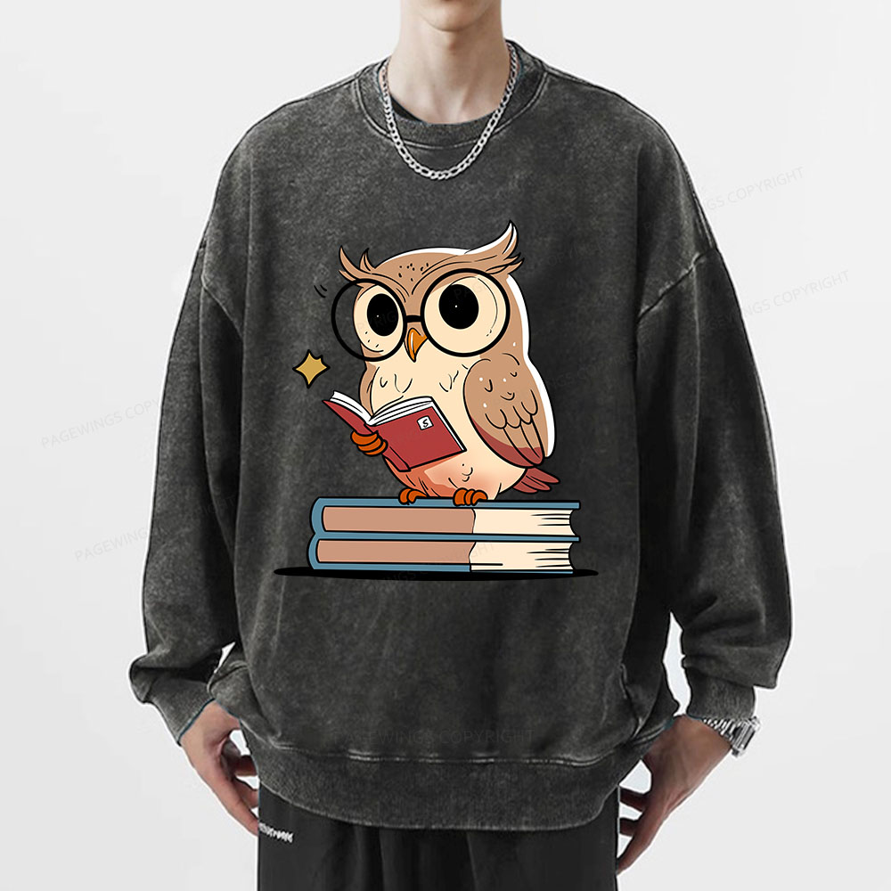 Pagewings The Owl Reader Unisex Washed Sweatshirt