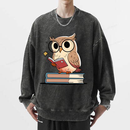 Pagewings The Owl Reader Unisex Washed Sweatshirt