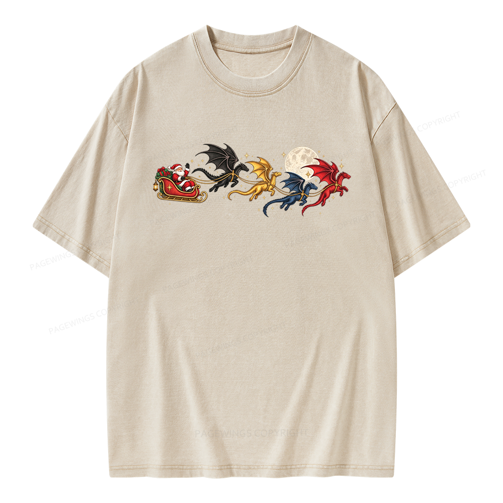 Pagewings Dragon Rider Book Fan Unisex Washed T-shirt