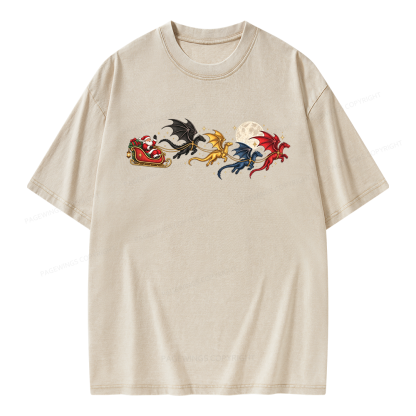 Pagewings Dragon Rider Book Fan Unisex Washed T-shirt