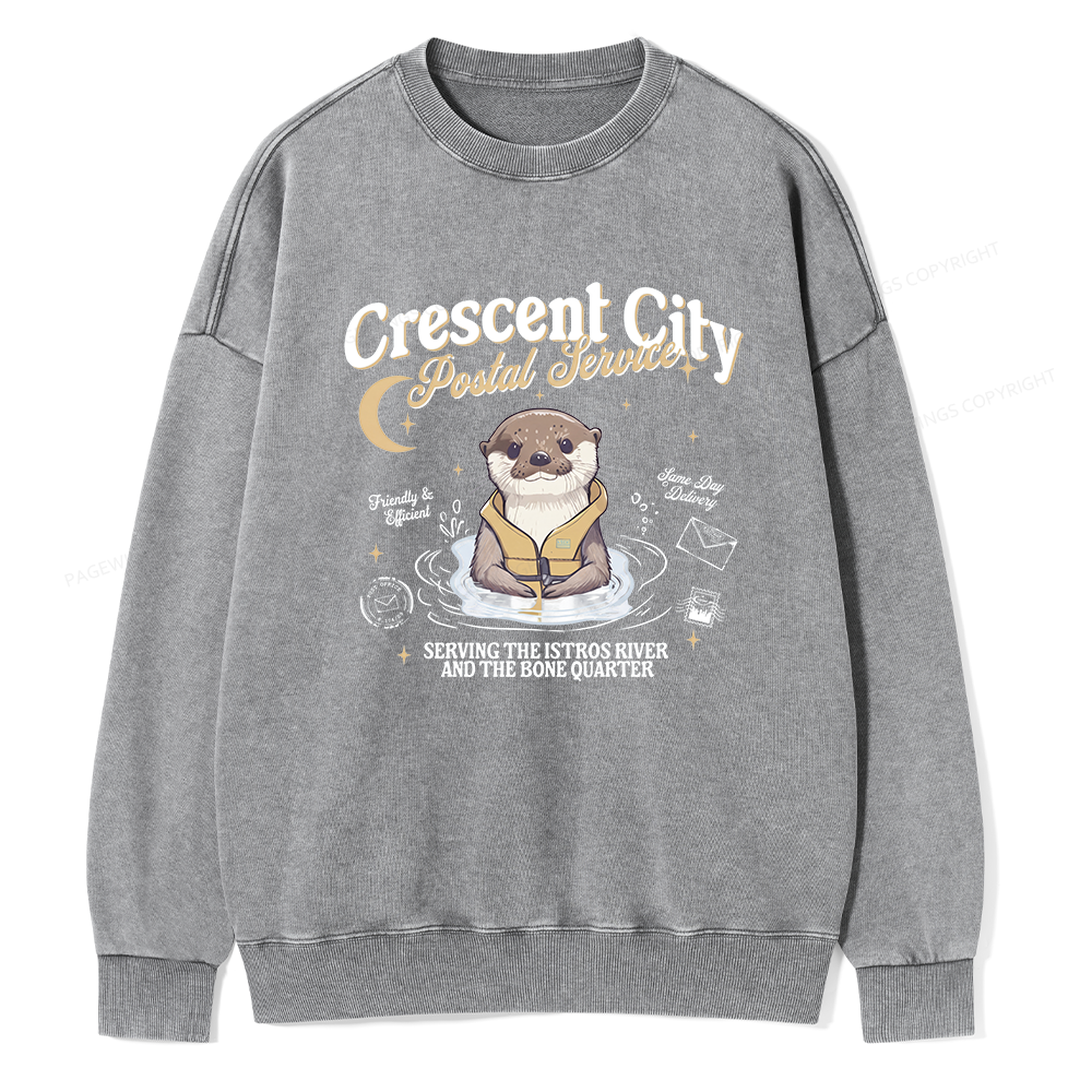 Pagewing Reading Fantasy Bookish Unisex Washed Sweatshirt