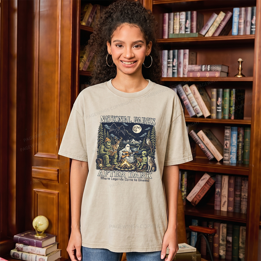Pagewings National Parks After Dark Unisex Washed T-shirt