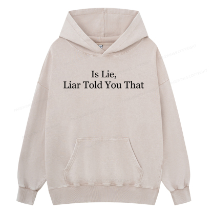 Pagewings Is Lie Liar Told You That Unisex Washed Hoodie