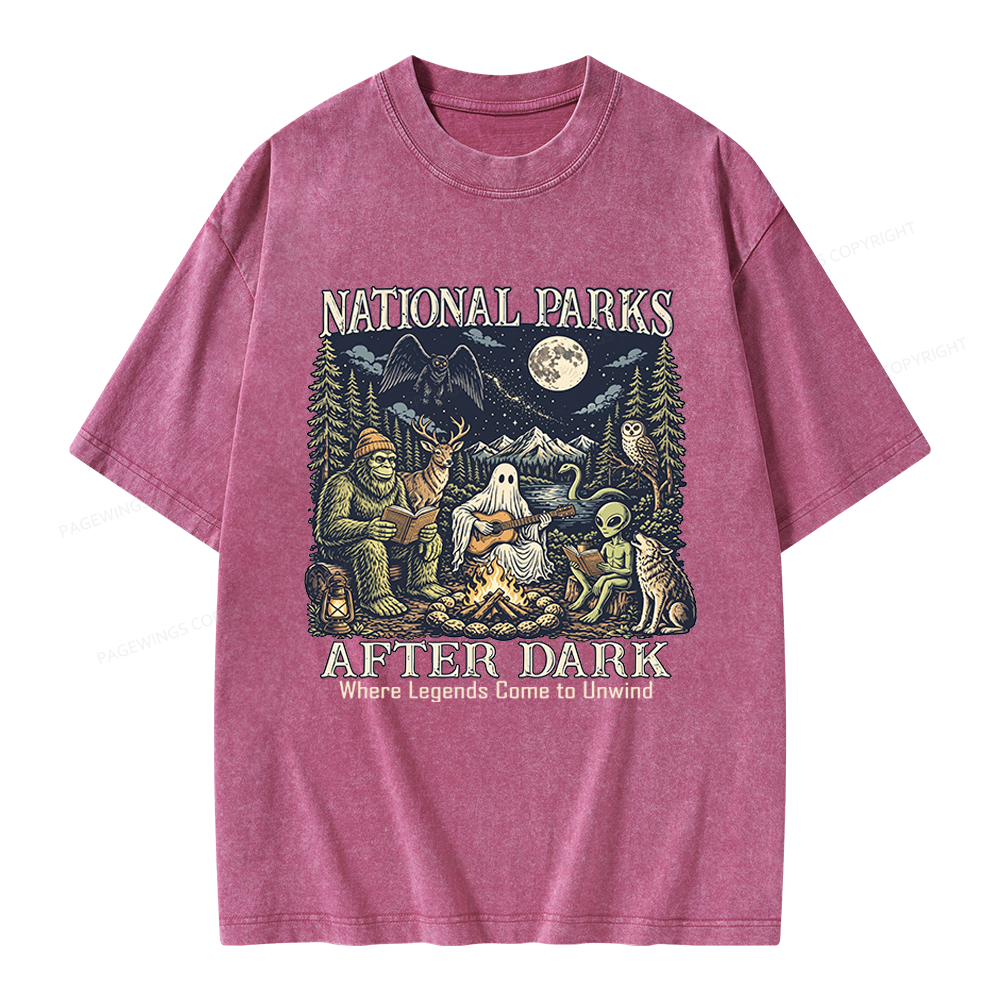 Pagewings National Parks After Dark Unisex Washed T-shirt
