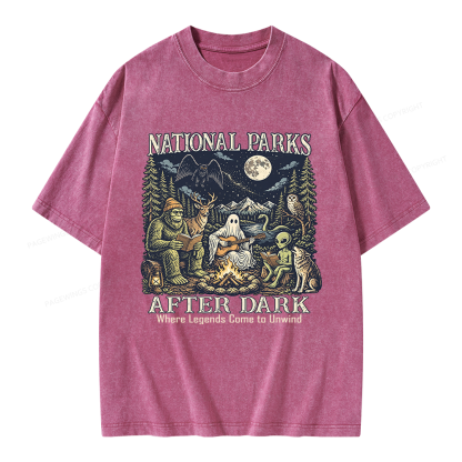 Pagewings National Parks After Dark Unisex Washed T-shirt