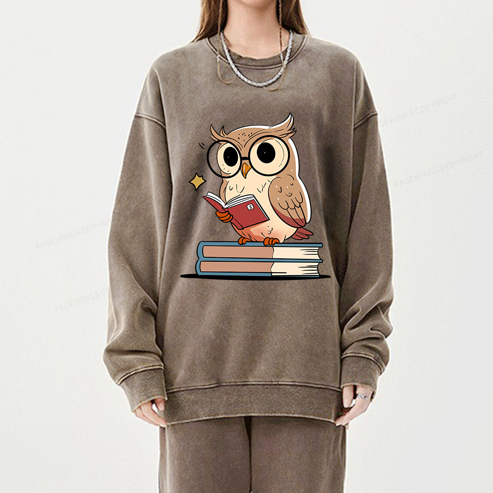 Pagewings The Owl Reader Unisex Washed Sweatshirt