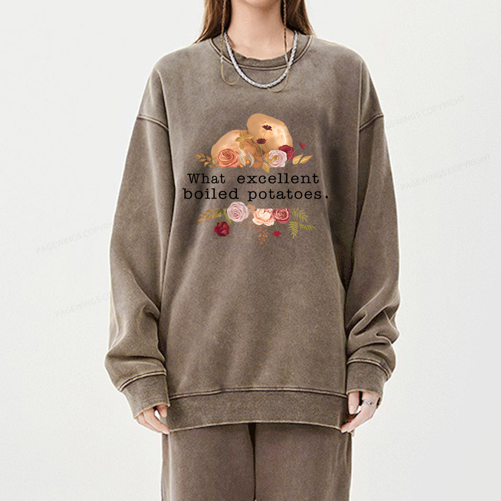 Pagewings Pride and Prejudice Unisex Washed Sweatshirt