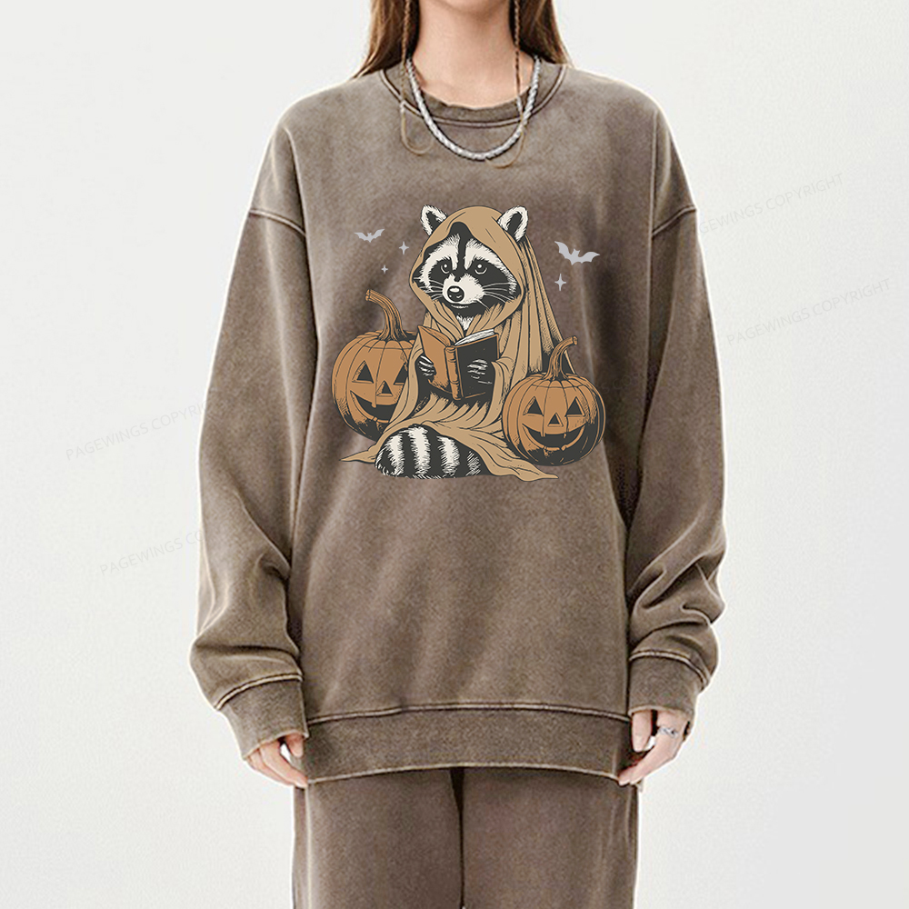 Pagewings Halloween Cute Raccoon Ghost Reading Unisex Washed Sweatshirt