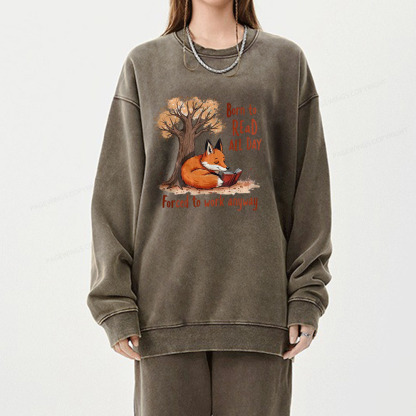 Pagewings Born to Read All Day, Fun Graphic Tee Unisex Washed Sweatshirt