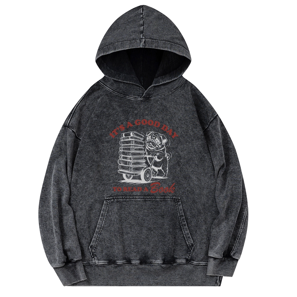 Pagewings Its A Good Day To Read A Book Unisex Washed Hoodie