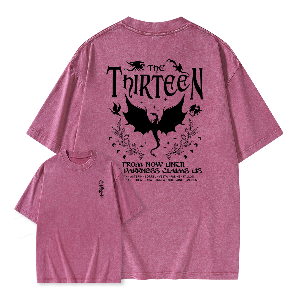 Pagewings The Thirteen Unisex Washed T-shirt