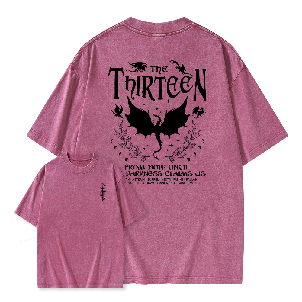 Pagewings The Thirteen Unisex Washed T-shirt