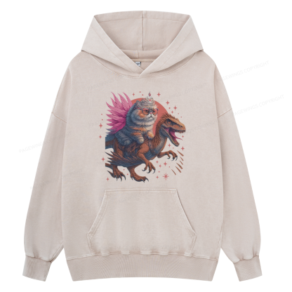 Pagewings Vintage Book Lover Princess Unisex Washed Hoodie