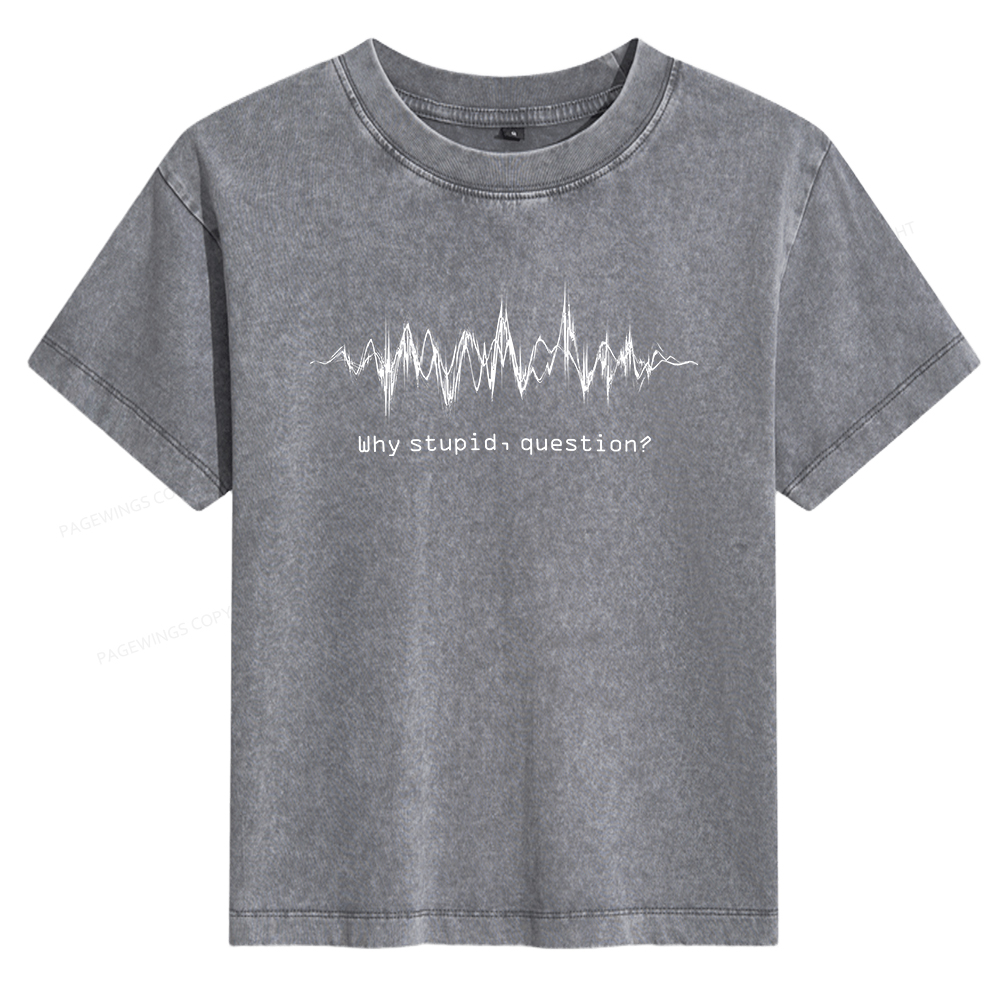 Pagewings Why Stupid Question Women's Washed T-shirt