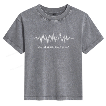Pagewings Why Stupid Question Women's Washed T-shirt