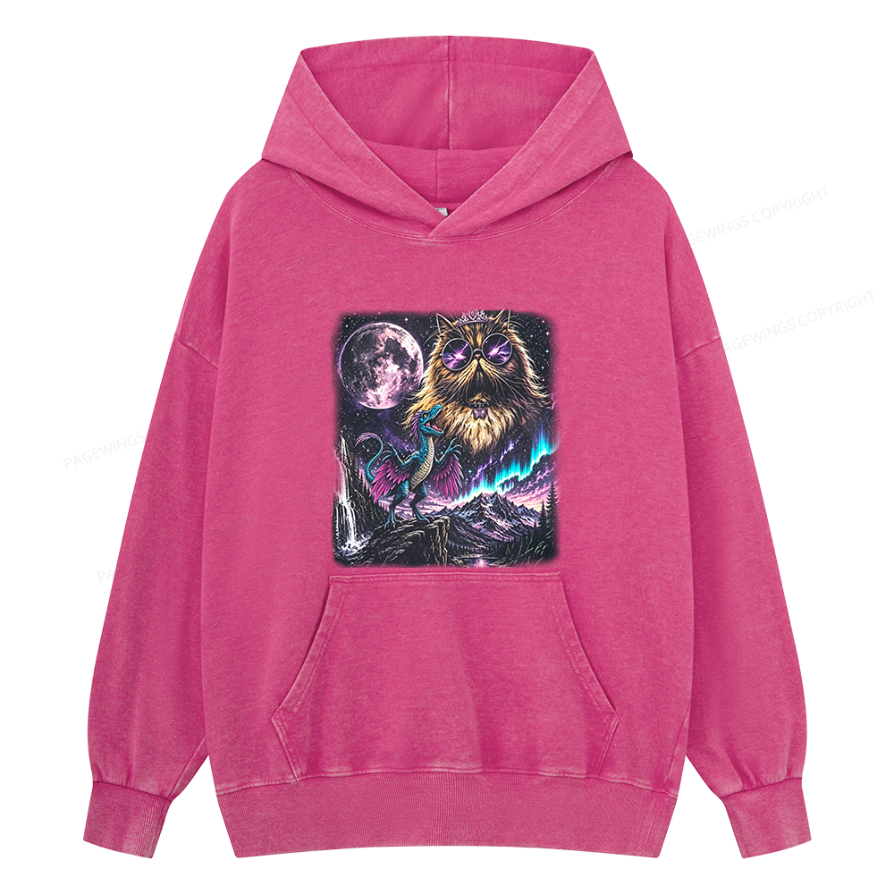 Pagewings Sci Fi Books Lover Unisex Washed Hoodie