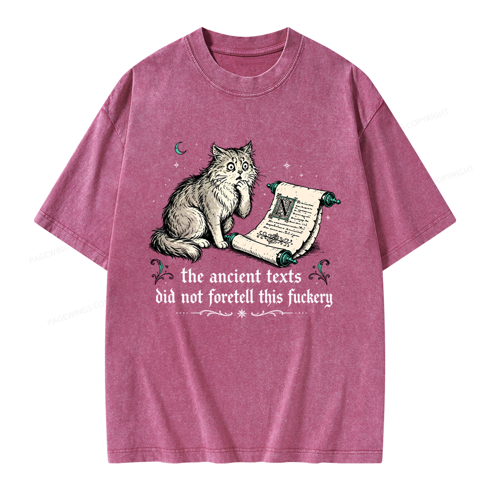 Pagewings Funny Medieval Cat Unisex Washed T-shirt