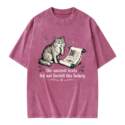 Pagewings Funny Medieval Cat Unisex Washed T-shirt