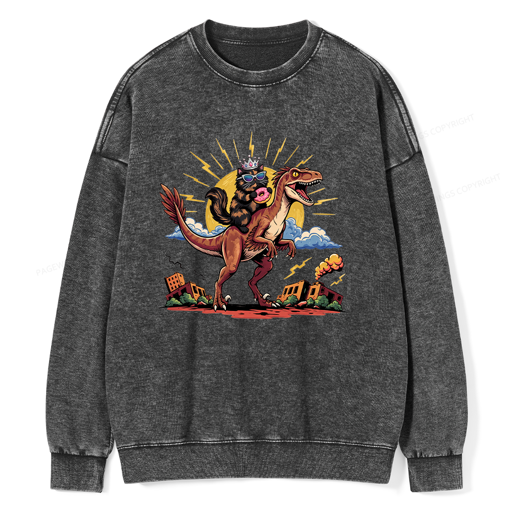 Pagewings Sci Fi Bookish Unisex Washed Sweatshirt