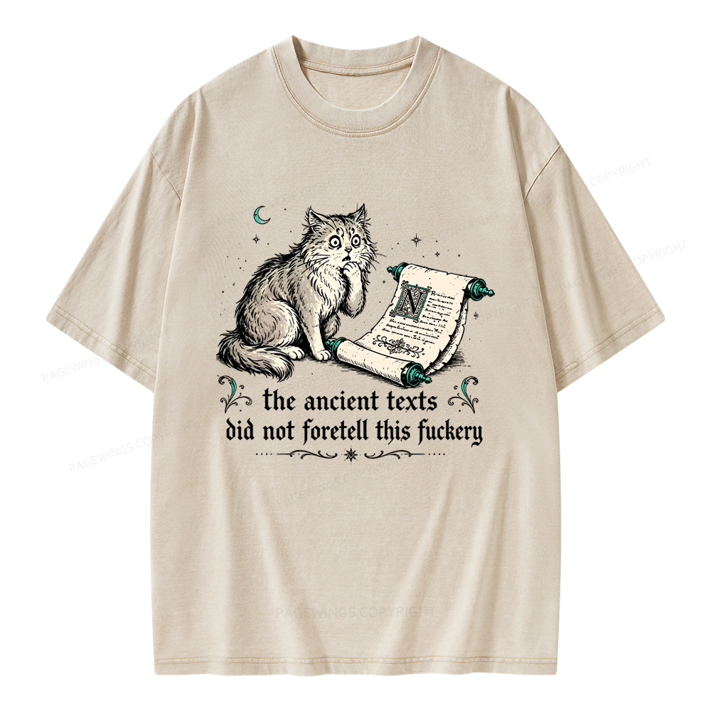 Pagewings Funny Medieval Cat Unisex Washed T-shirt