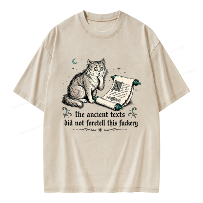 Pagewings Funny Medieval Cat Unisex Washed T-shirt