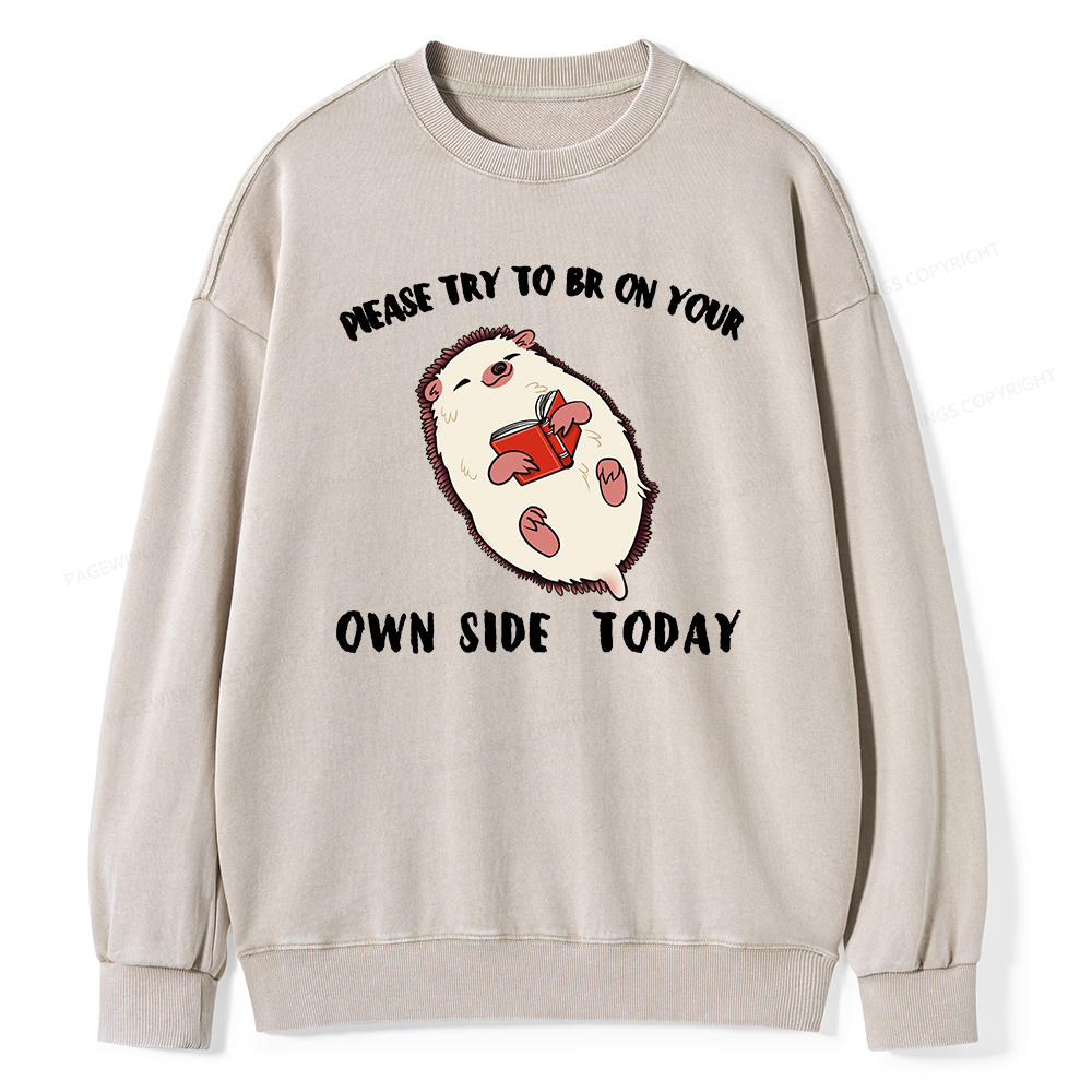 Pagewings Please Try To Be On Your Own Side Today Unisex Washed Sweatshirt