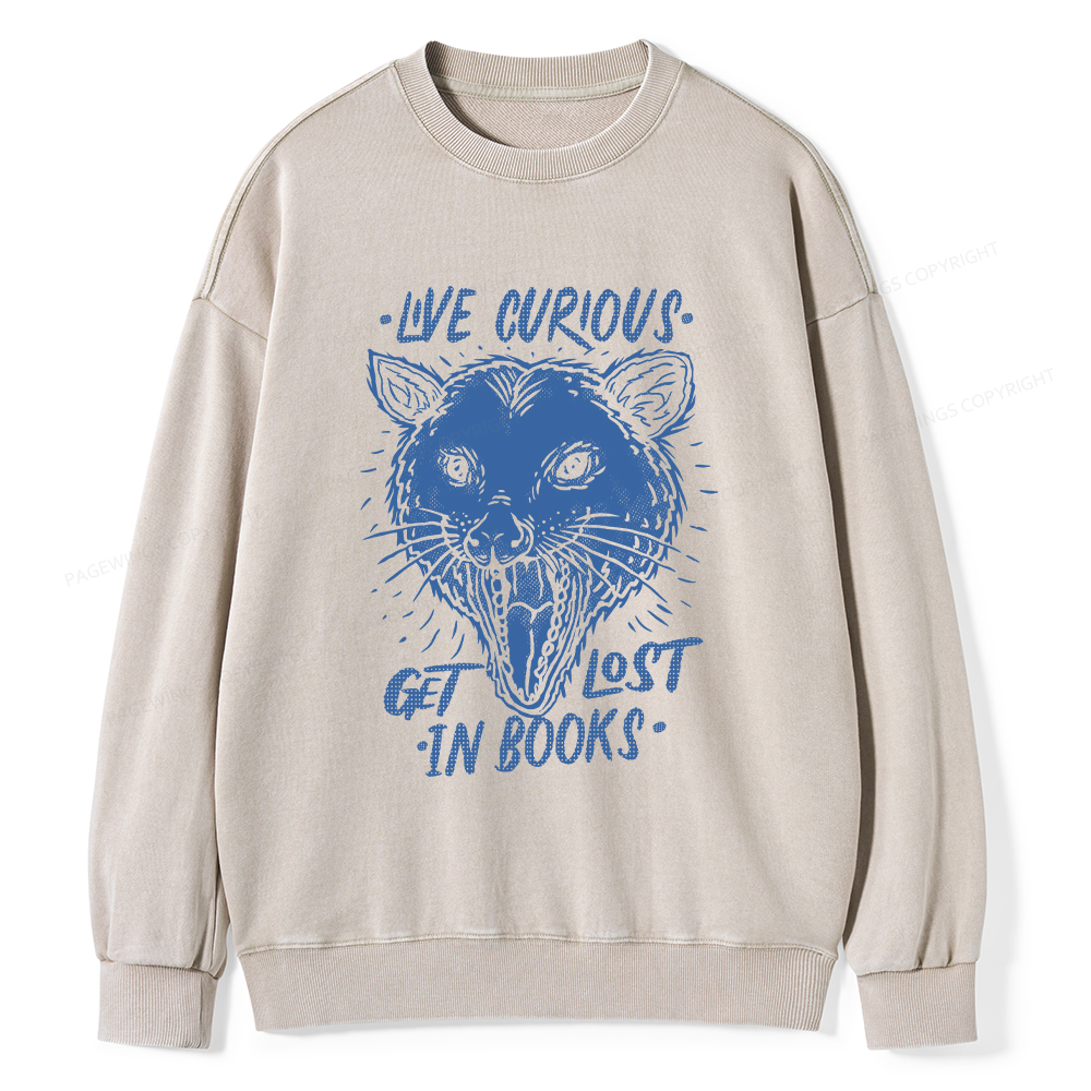 Pagewings Live Curious, Get Lost In Books Unisex Washed Sweatshirt