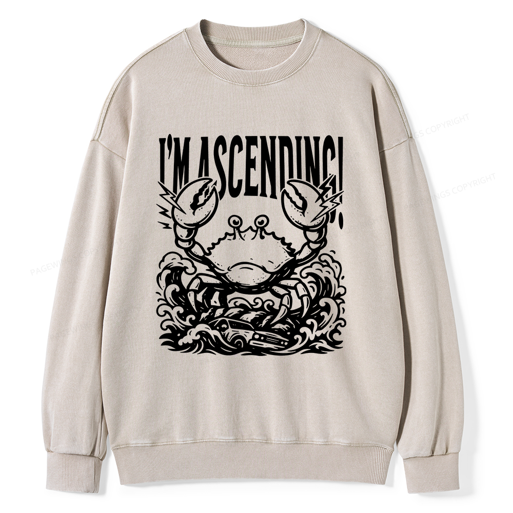 Pagewings I'm Ascending Vintage Unisex Washed Sweatshirt
