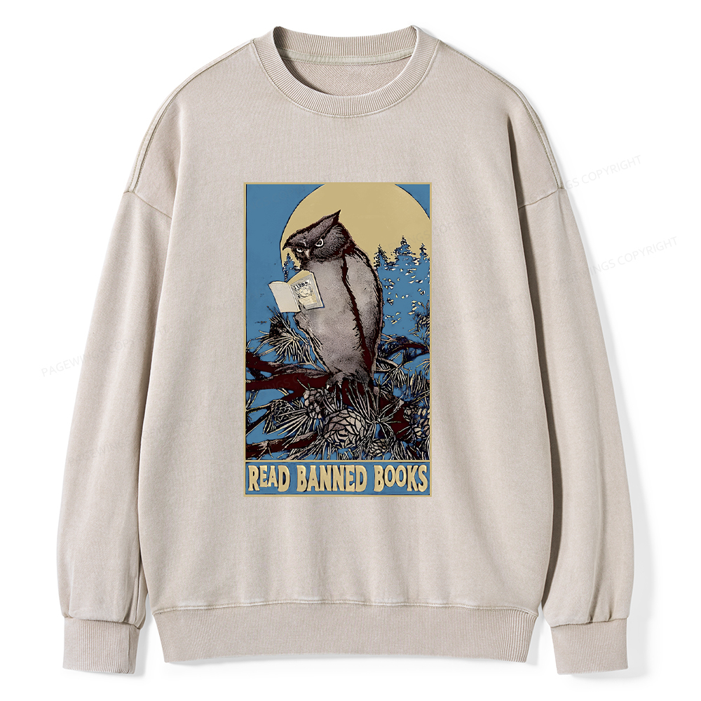 Pagewings Owl Read Banned Books Washed Sweatshirt