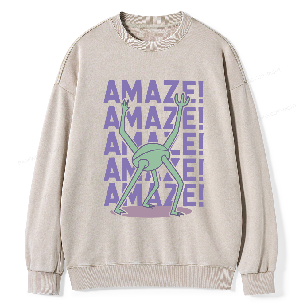 Pagewings Rocky Amaze Washed Sweatshirt
