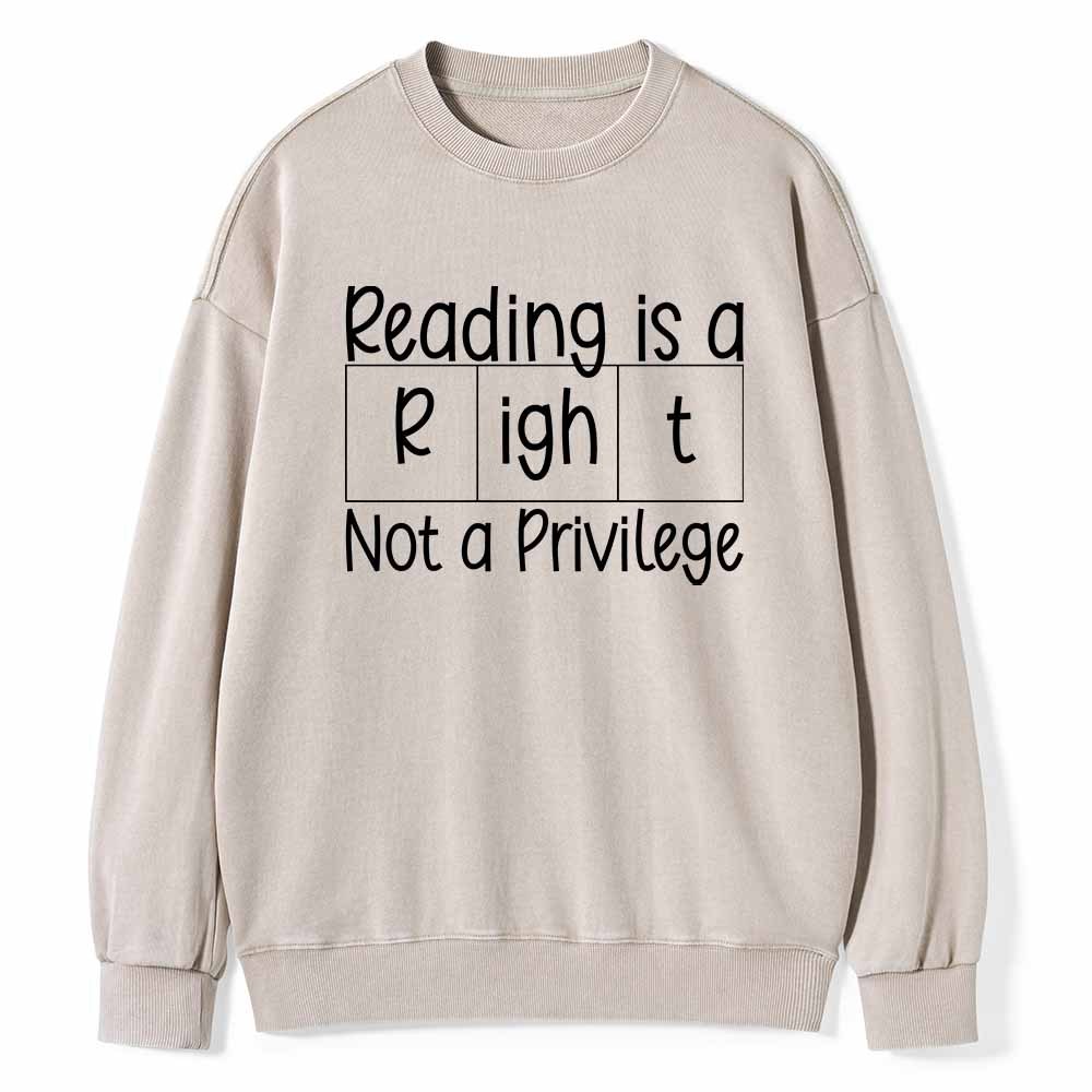 Pagewings Reading is a Right Not a Privilege Unisex Washed Sweatshirt