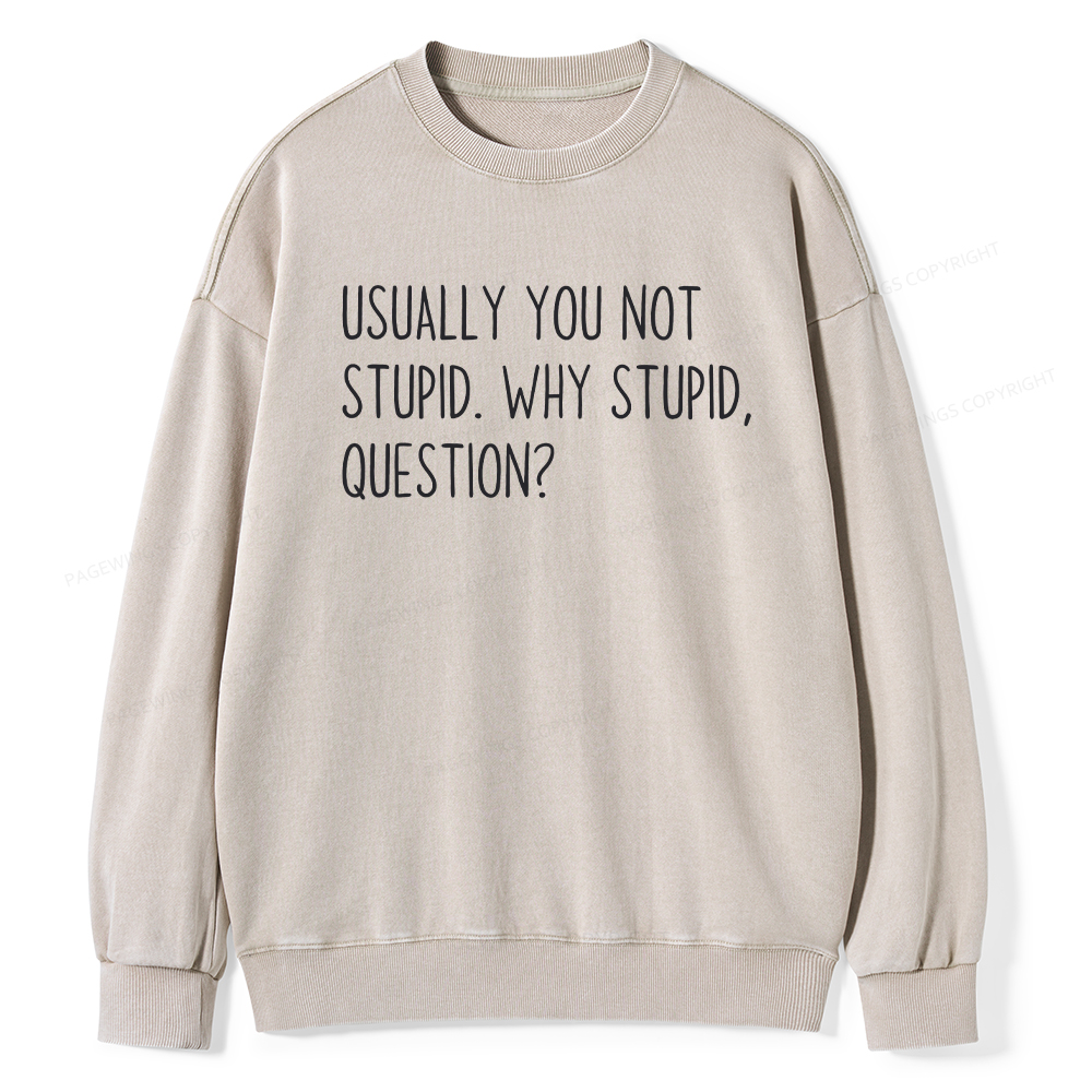 Pagewings Why Stupid Question Unisex Washed Sweatshirt