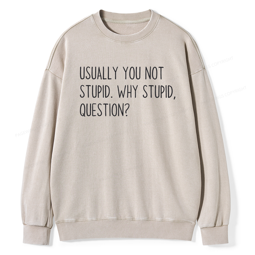 Pagewings Why Stupid Question Unisex Washed Sweatshirt