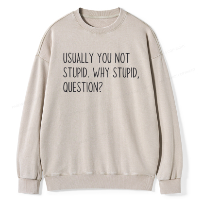 Pagewings Why Stupid Question Unisex Washed Sweatshirt