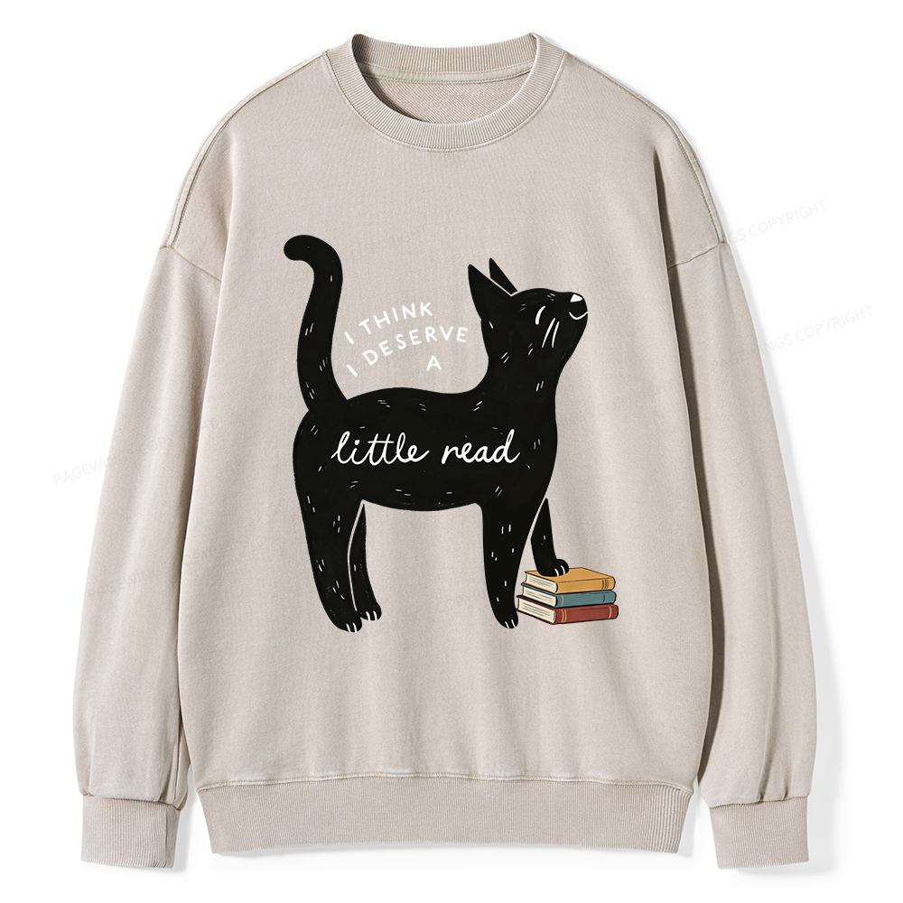 Pagewings Little Read Unisex Washed Sweatshirt