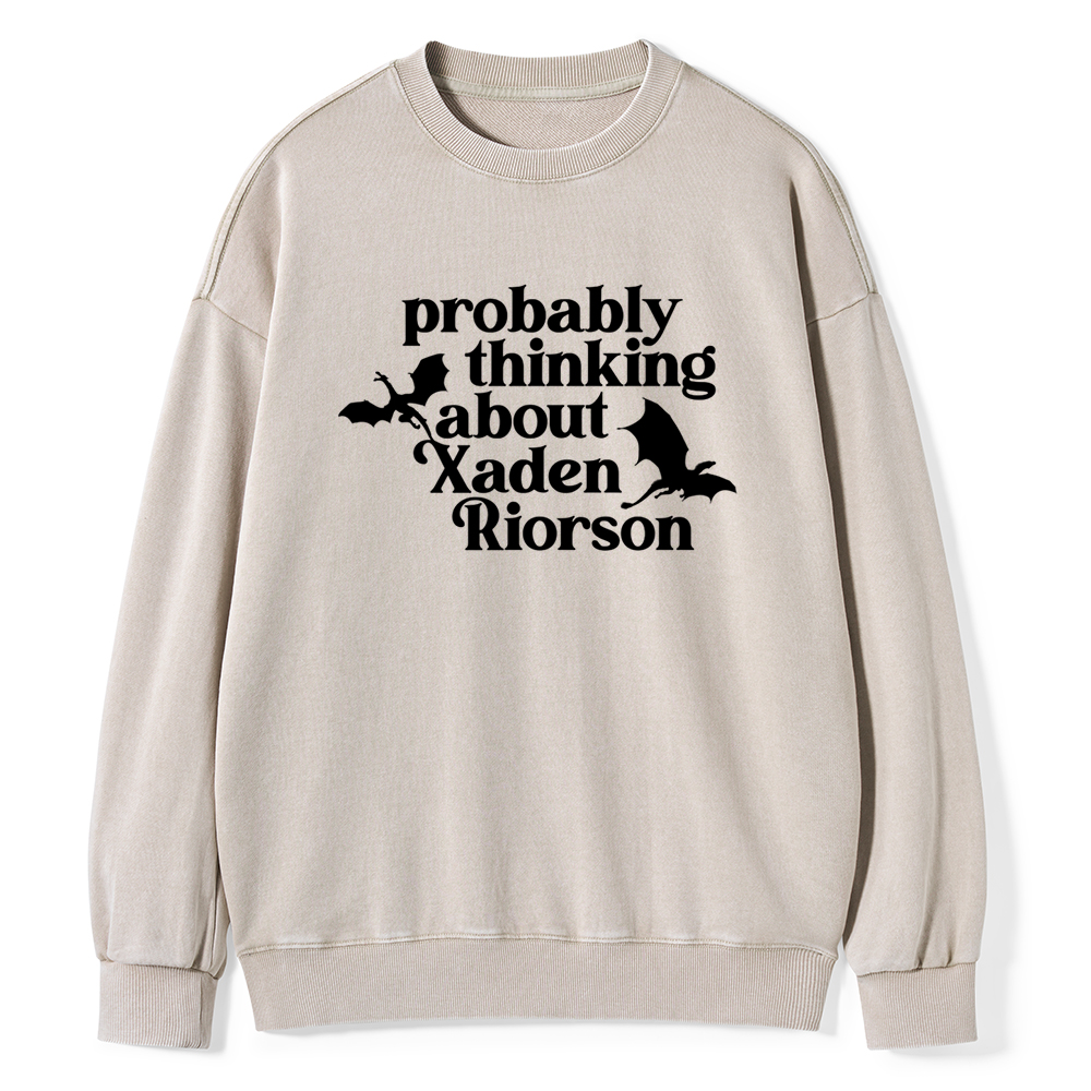 Pagewings Probably Thinking About Xaden Riorson Unisex Washed Sweatshirt