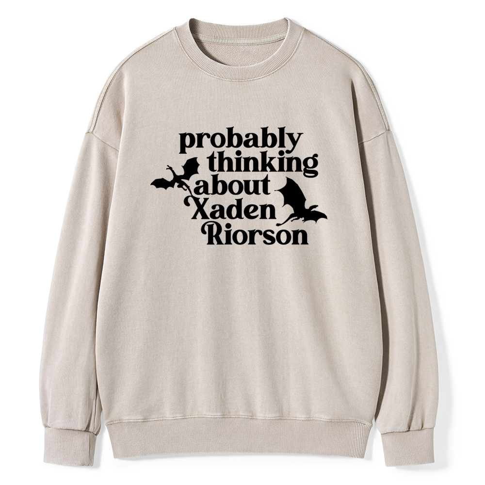 Pagewings Probably Thinking About Xaden Riorson Unisex Washed Sweatshirt