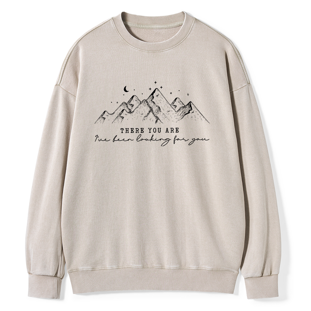 Pagewings ive been looking for you Unisex Washed Sweatshirt