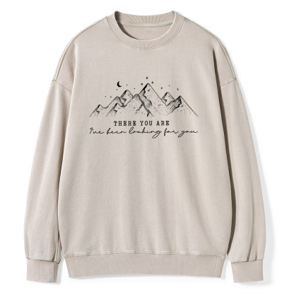 Pagewings ive been looking for you Unisex Washed Sweatshirt