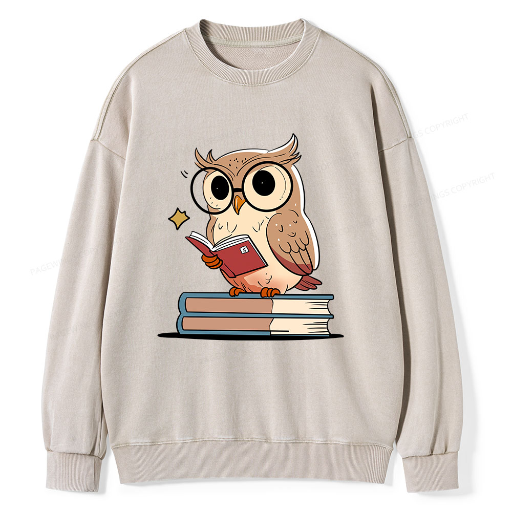 Pagewings The Owl Reader Unisex Washed Sweatshirt