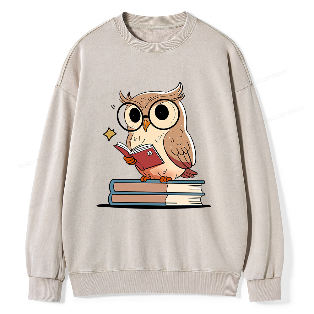 Pagewings The Owl Reader Unisex Washed Sweatshirt