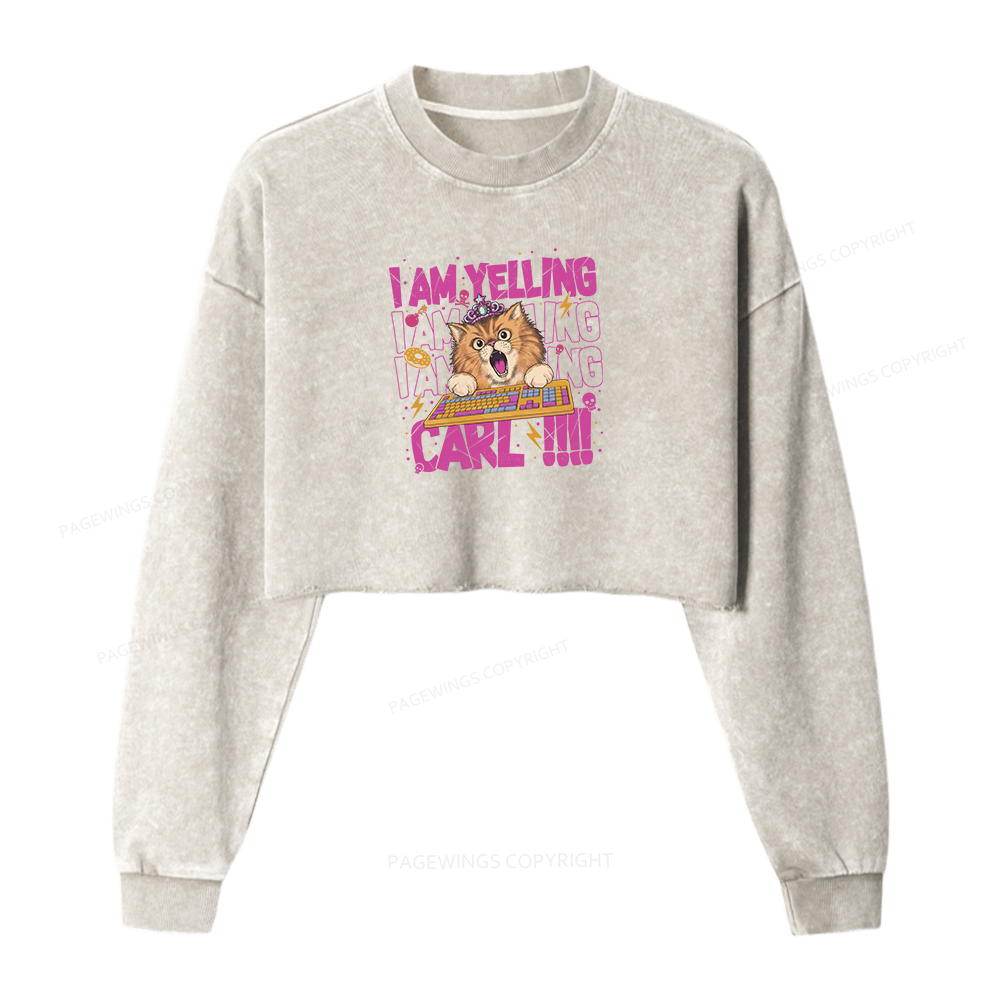 Pagewings Sci-Fi Novel Lover Washed Crop Sweatshirt