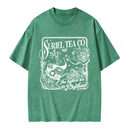 Pagewings Fantasy Reader Unisex Washed T-shirt